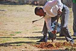 Spread Trees, Not AIDS 2011